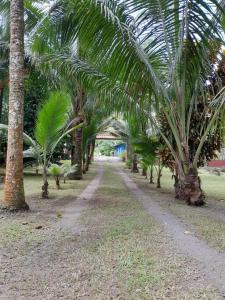 Riverside Oasis Cabin with A C