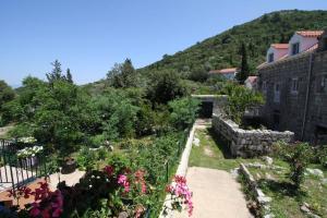 Baldo's Happy Garden- BRAND NEW 