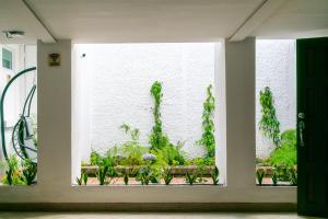 Charming and Efficient First Level Family Apt 5