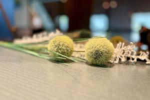 Maisons de vacances House with swimming pool near Strasbourg : photos des chambres