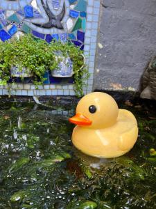 Seaside Getaway @ Swallow House Suite #2