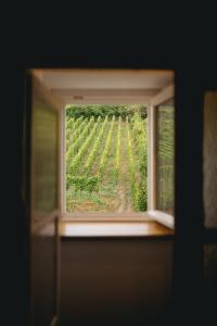 Appartements Maison Rebleuthof Sauna & Fitness : photos des chambres