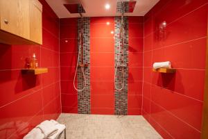 Appartements Maison Rebleuthof Sauna & Fitness : photos des chambres