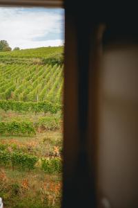 Appartements Maison Rebleuthof Sauna & Fitness : photos des chambres