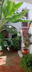 The best in the center of Tarifa