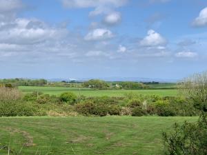 Countryside Cabin in Private Setting