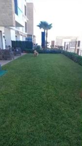 Super appartement plage des nations