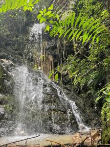 Modern mountain house