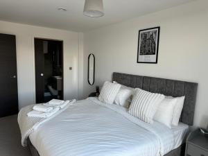 York Minster Icona 250 FREE parking & gym