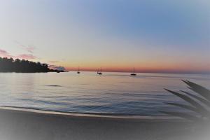 Nice and cozy apartment img25