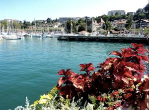 Appartements Les Chants de l-Eau avec balneotherapie : photos des chambres