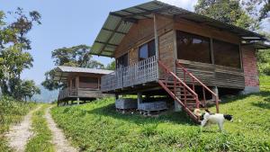 Complejo Turístico La Molienda