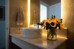 Melancholy Hill Sprawling Views of Endless Summer