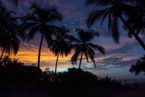 Arrecifes Refugio Natural