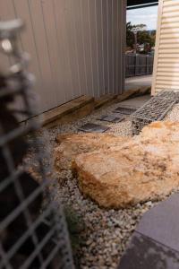 Tides & Tails - Pet Friendly