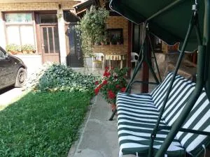 Apartman Popovic - 伊万尼察