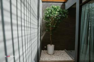 Blooming resort buriram บลูมมิ่ง รีสอร์ท บุรีรัมย์