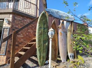 Tree Tops Studio Bangor