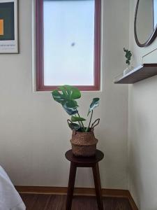 Comfy Seoul-Near KSPO DOME, Lotte World, Olympic Park, Coex, 3Rooms4beds, 6people