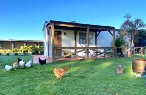 DONN4254C - Wilga Farm Stay - Cockatoo Cottage - Kojonup