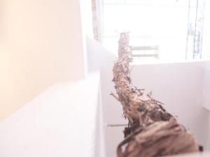 Studio Toniko with Terrace