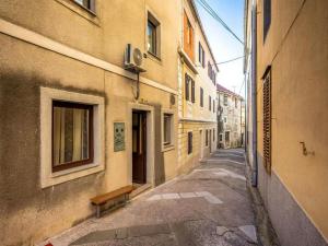 Apartment Senj - Superior Two bedroom Apartment with Terrace 