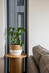 Central city sunsets - Warm! Modern! Quiet!