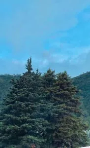 Casa El Mirador - San Felipe