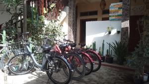 Mangga homestay Gili air