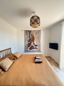 Appartements Domaine RABOLY - Beaumes de Venise : photos des chambres