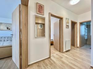 Silver Lux Apartman
