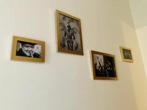 Living History - Suikernest