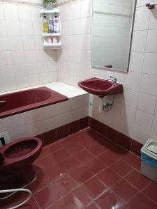 Red panda Hatyai Leegarden 200m can walk