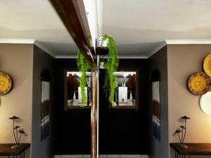 Eagles Hide - Fish Eagles Cottage