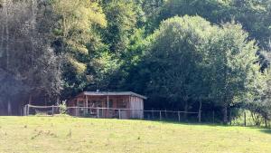Tentes de luxe Cabane aux papillons : Tente