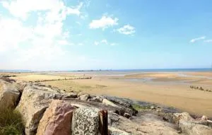 Le Chalet, les pieds dans l'eau - 阿内勒