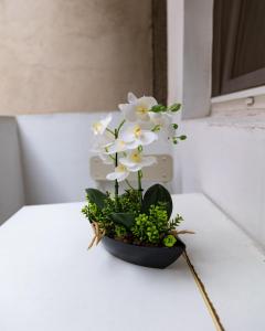 Old City- Big Studio