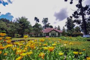 Craigbank Nuwaraeliya - 5hvězdičkové hotely ve městě Nuwara Eliya