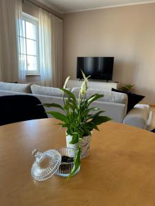 Apartamenti Stella