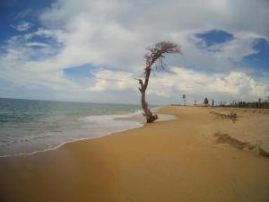 Kite Paradise Resort Kalpitiya