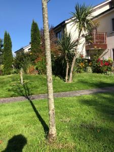 Private Room in Apartment beside Druids Glen Hotel