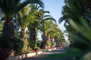 Camping Officiel Siblu La Carabasse