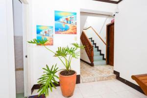 Mayon Backpackers Hostel
