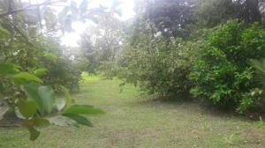 Wenasa Hotel