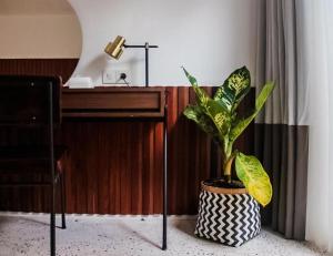 Blackbird Hotel Bandung