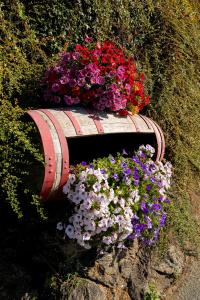 casa vacanza da ghislin