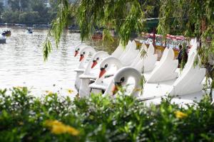 Hotel Henrico Kisad