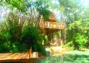 Waterfront Treehouse in a Magical Forest - مانغوليا