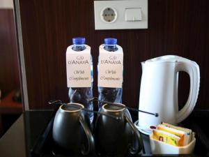 DAnaya Hotel Bogor
