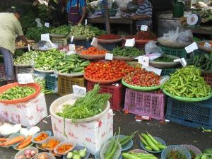 THE24 Luxury Residence